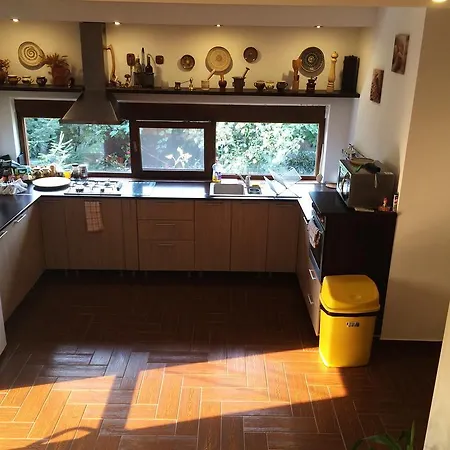 Pensiunea Socrita Гостевой дом 3*