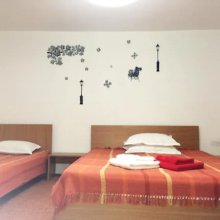 Гостевой дом Pensiunea Socrita 3*