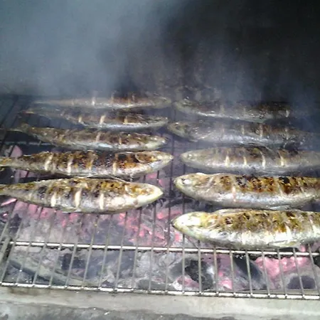 Pensiunea Socrita