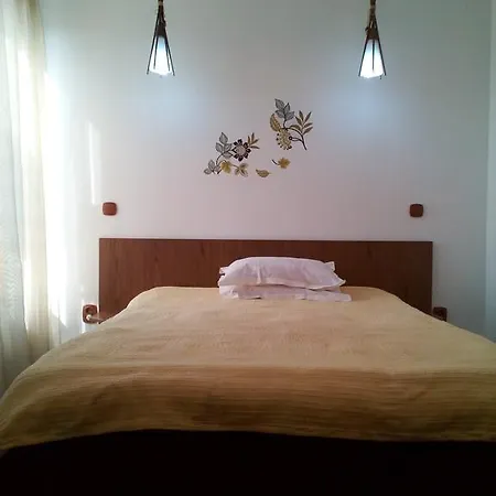 ゲストハウス Pensiunea Socrita